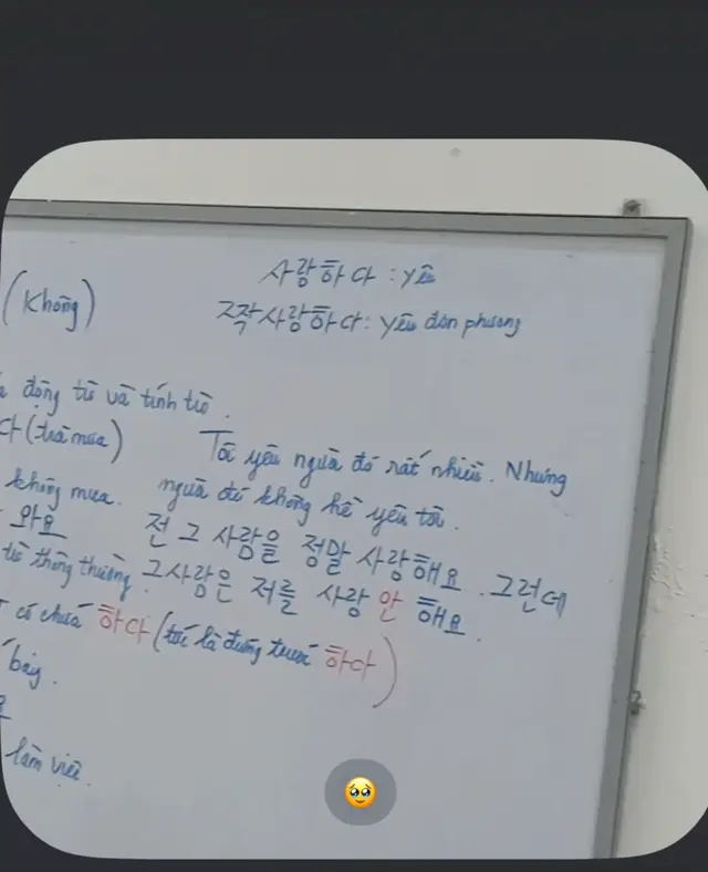 Ôi thôi chết🥲 dịch câu chí mạng thế#họctienghan🇰🇷 #hànquốc #bắtdauhoctienghan #tienghansocap #hànquốc 