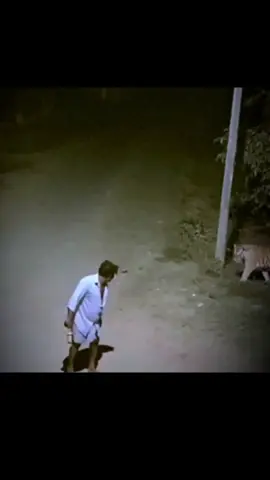 #foryoupage #Fyp #CapCut 