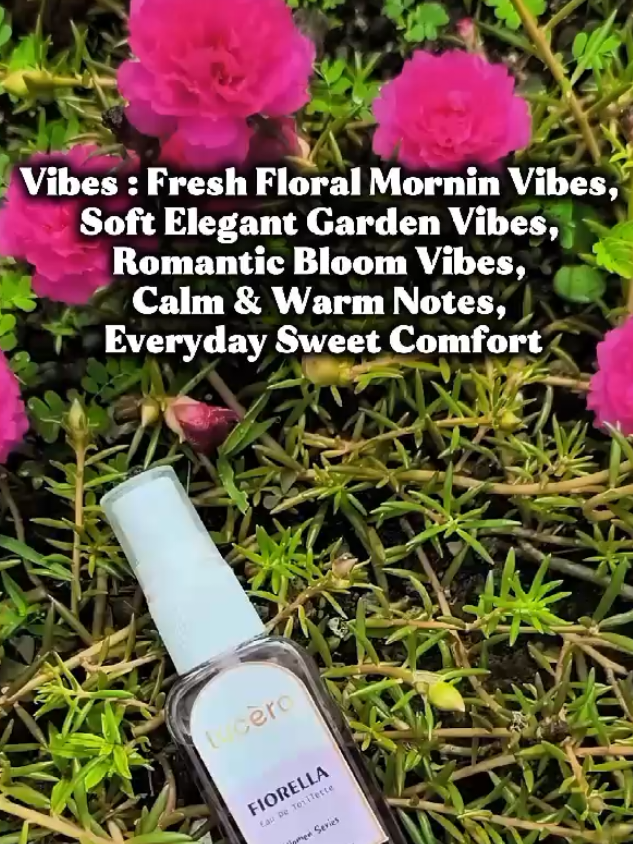 LUCERO PAEFUM HADIR SEBAGAI SOLUSI DARI PERMASALAHAN BAU BADANMU. #parfummurah #parfumviral #fyp #luceroparfum #parfum 