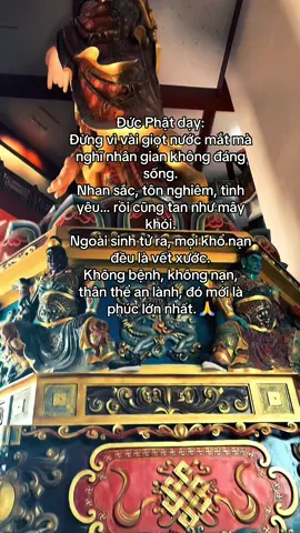 Ngoài sinh tử ra, mọi khổ nạn đều là vết xước.#phatphapnhiemmau #tinhtam #nammoadidaphat #loiphatday🙏 #tiktok 