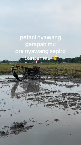 ho ohh #fyp #mantrisuntik 