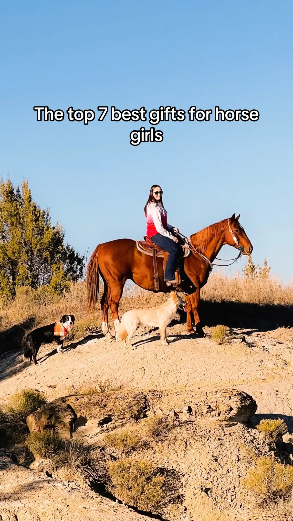 These are the absolute must haves for any horse girl! #horsesoftiktok #horse #horsegirl #horsetok #christmasgiftideas 