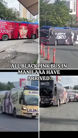 PHILIPPINES BLINK IS SO ROYAL😭😭🙏🫰🏻🥺 #blackpink #blackpinkphilippines #deadlineworldtour #manilaconcert #foryou #fyp 