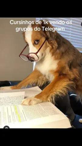 CURSOS PARA O ENEM  #fernandapessoa #enem #curso #fyppppppppppppppppppppppp #fy 