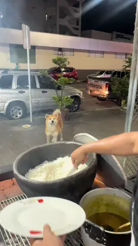 Aquí no le negamos comida a nadie #tena #viraltiktok #paratiiiiiiiiiiiiiiiiiiiiiiiiiiiiiii #ecuatorianos🇪🇨en🔵usa🇺🇲 #ecuatorianos 