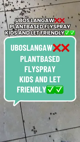 FINALLY! PLANT BASED NA INSECT SPRAY, WALANG MATAPANG NA AMOY!!#langaw #langawkillerspray #insectkillerspray #insectkiller #langawtrap 