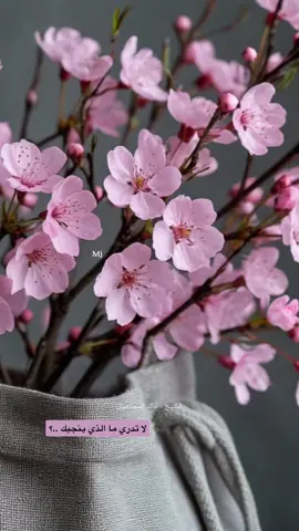 #لا تدري ما الذي ينجيك؟ @#اقتباسات_خواطر_عبارات #ميما🇸🇦  #اكسبلورexplore 