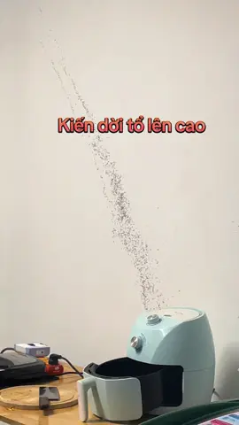 Kiến trong nhà mình dời đi sạch tích tắc trong 2 phút, tha trứng tha đồ ăn đi hết... #tiemspameoduchan #lulut #hientuongla #lulutmientrung #hientuongthiennhien 