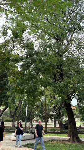 #cuocsong #yenbinh #vitaminsongkhoe 