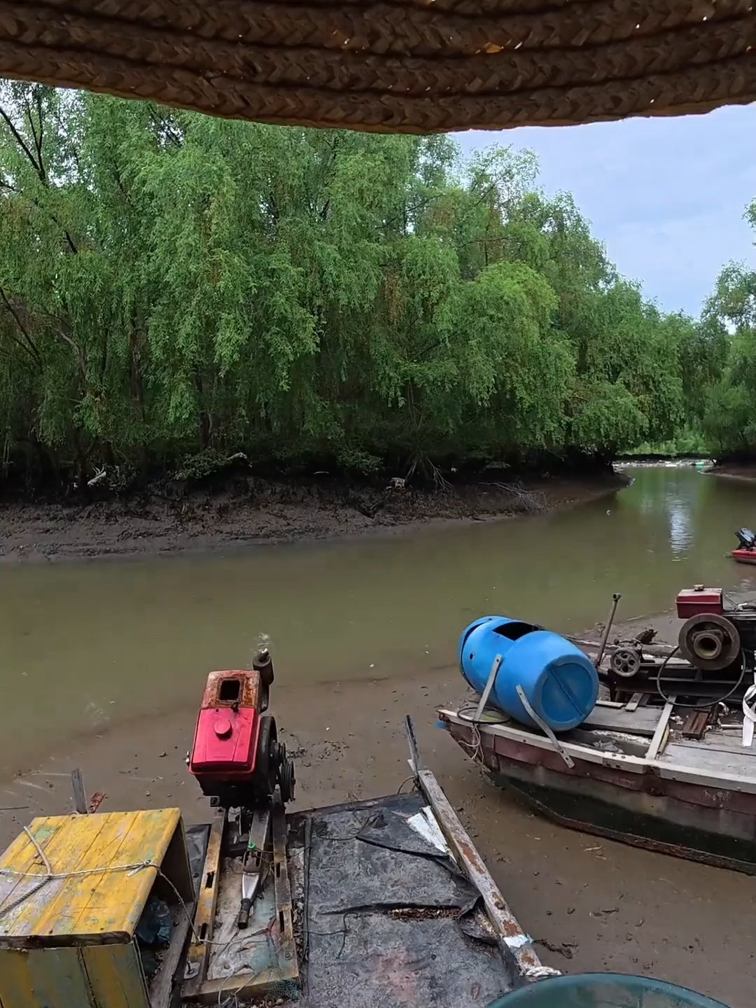 Hôm nay câu được vài con cá biển đẹp phết #caucagiaitri #caucatunhien #caucachuyennghiep #cauca #fishing