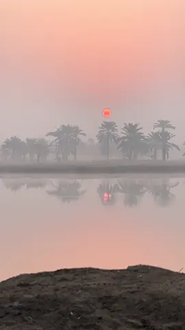 در ضبط جا ٽوڙي نڪتا هِن، سُڏڪن کي الائي ڇا ٿيوآ هڪ ٻئي جي پُٺيان ڊُڪندا ٿا اچن، لُڙڪن کي الائي ڇا ٿيو آ۔۔۔🥺🥺🥺 #foryou #foryoupage #fyp 