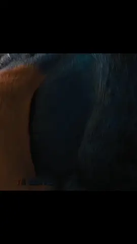 SONIC BACK FROM DEAD 👀💀 | SONIC 1 - MONTAGEM COMA ( SLOWED + REMIX ) - #trending #sonic #wgitachi