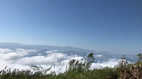 ##xuhuongtiktok #chillchill 