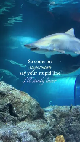 #fyp#viral#reletable#foryou