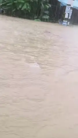 Kawasan di Thailand yang kini mengalami atau berisiko banjir (22 Nov 2025) 1. Wilayah Tengah Thailand (Central Region) Kawasan yang menerima amaran banjir termasuk: 	•	Bangkok 	•	Uthai Thani 	•	Chainat 	•	Sing Buri 	•	Ang Thong 	•	Suphanburi 	•	Ayutthaya (paras air meningkat) 	•	Lopburi 	•	Pathum Thani 	•	Nonthaburi 	•	Samut Prakan 2. Wilayah Selatan Thailand (Southern Region) Pejabat Sumber Air Negara (ONWR) mengeluarkan amaran banjir kilat, limpahan air & tanah runtuh untuk 11 wilayah selatan: 	•	Surat Thani (termasuk Koh Samui & Koh Phangan) 	•	Phuket (Mueang Phuket, Kathu, Thalang) 	•	Nakhon Si Thammarat 	•	Trang 	•	Phatthalung 	•	Satun 	•	Songkhla 	•	Pattani 	•	Yala 	•	Narathiwat #narathiwat #tattani #fypppppppppppppppppppppp #hujan #banjir 