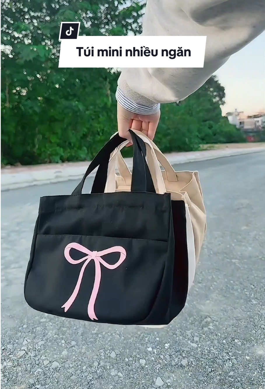 Túi mini đa năng 2 ngăn có khoá kéo #tuivaicanvas #tuidungbimsua #tuidihocdilam #trendingvideo #tuicomvanphong 