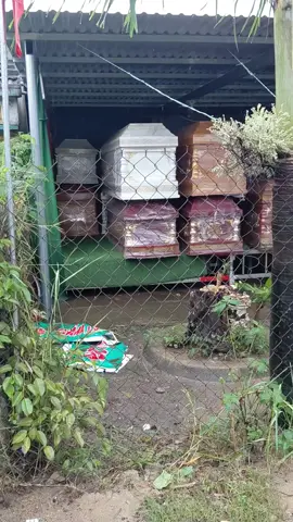 quê tôi lúc này đau thương quá mọi người 🥲#xuhuong #lũlụt #miềntrung #lũ 