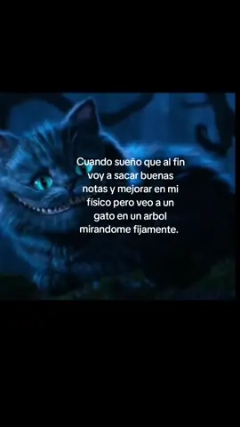 #alicia#cheshinecat #cat#.#ok solo quiero que se haga realidad