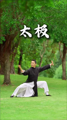 Taiji kungfu👊👊👊😎😎😎👍👍👍#tiktok #usa #foryou #kungfu #taichi #fyp 
