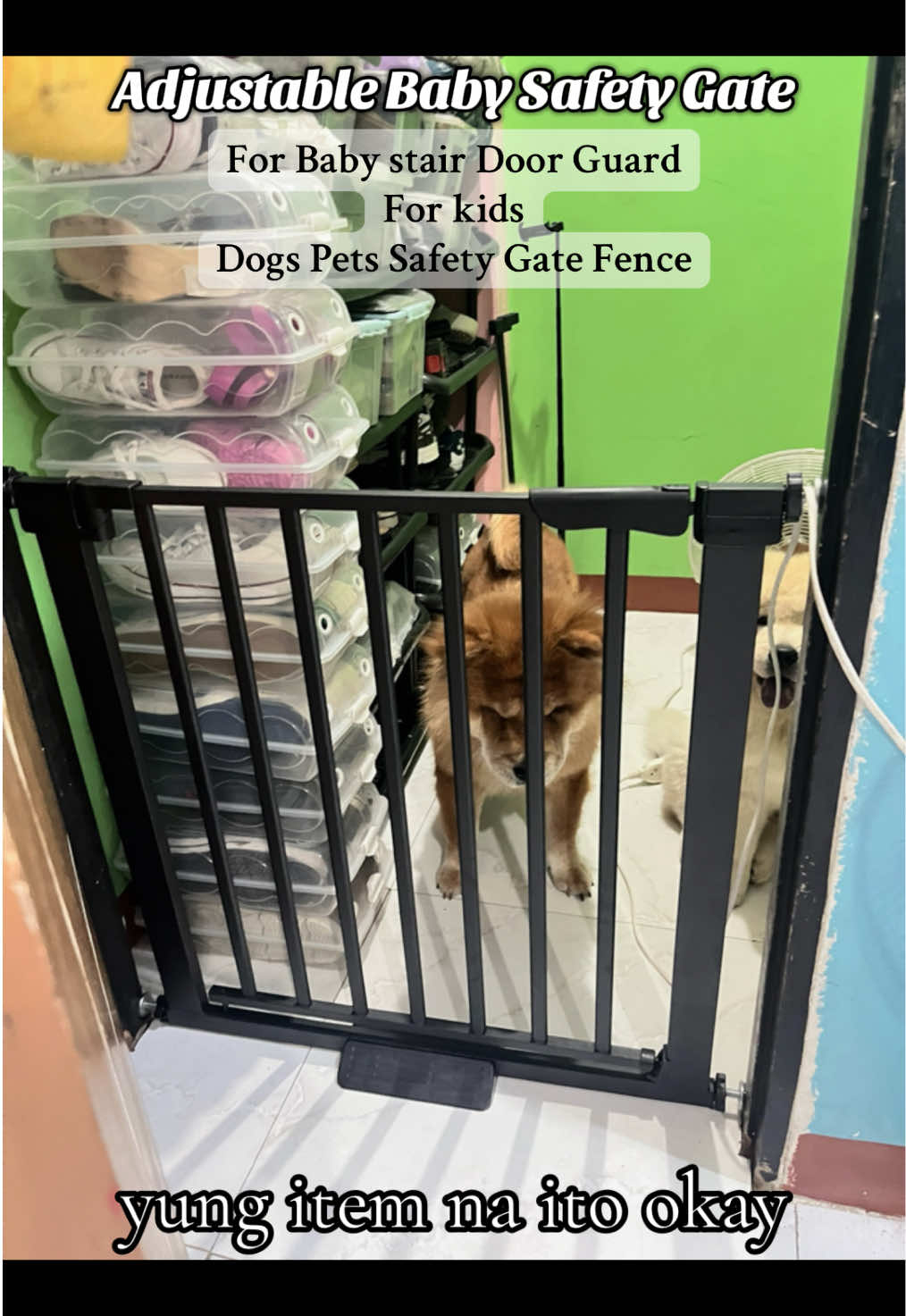 Fence for dogs at home. Dog gate fence heavy duty adjustable. #musthave #safetygate #dog #baby #fyp 