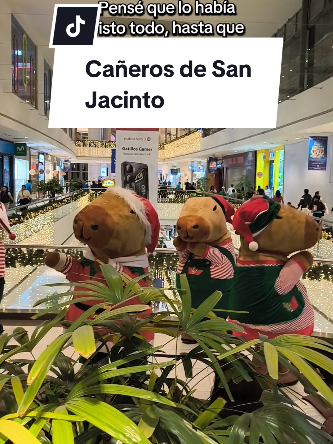 Pensé que había visto todo hasta que vi a los Capibaras bailando, Cañeros de San Jacinto. @Mall del Sur #cañerosdesanjacinto #capibara #malldelsur #soloquieroserunodeellos #danzasperuanas 