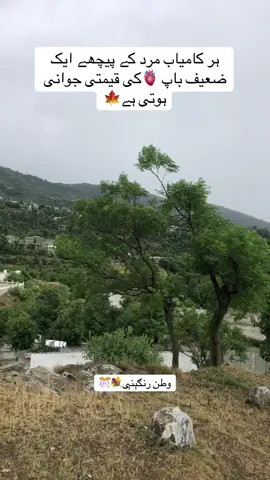 ہر کامیاب مرد کے پیچھے ایک ضعیف باپ 🫀کی قیمتی جوانی ہوتی ہے🍁#رنګېنې 