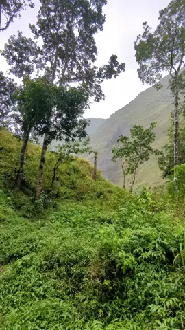 inilah yang di tunggu2 para pendaki di musim November 