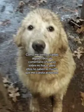 😞 #fypシ゚ #foryou #fyppppppppppppppppppppppp #tiktok #fyp 