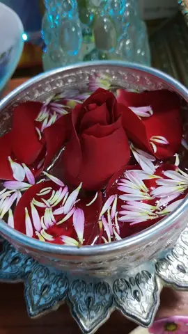 #စနေသားသမီးများအတွက် မာလာရေစင်ကပ်လှူပူဇော်ပါ၏အရှင်ဘုရာ🙏🙏🙏#contactcreator 