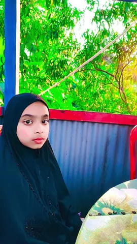 🥰🥰🌿🌿🌿🍃🍃🐦🐦