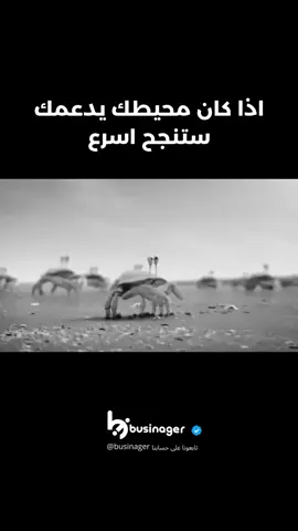 ابحث عن المحيط الذي يدعمك . . . . . اذا أعجبك المحتوى شارك مع من تحب ولا تنسى الدعم باللايك والمتابعة🫡🤍 #تحفيز_الذات #تحفيز #تطوير_الذات #تعليم #عقلية_المليونير #improvement #development #skills #businager #بزنجر 