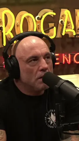 Amnesty, Hearings, and the Fear of losing the Tech race to C.h.i.n.a Part 2 #jre #joerogan #podcast #stories #danfarah 