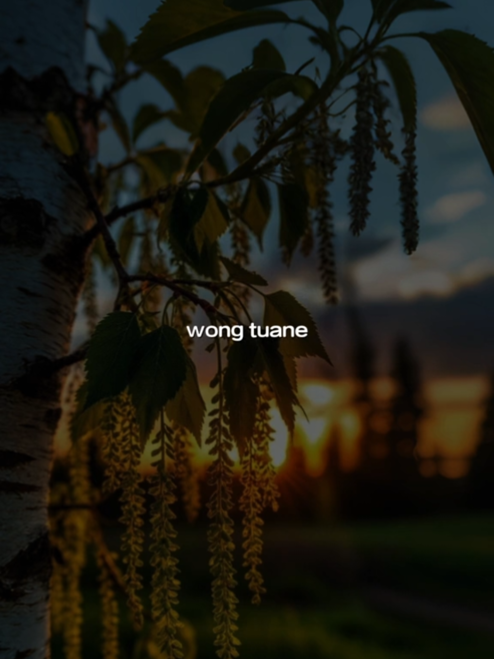 Kudu iso kuat balungane mergo ra disonggo wong tuane☺️ #CapCut #egowongtuo #difarinaindra #cahgabuts #lewatberanda 