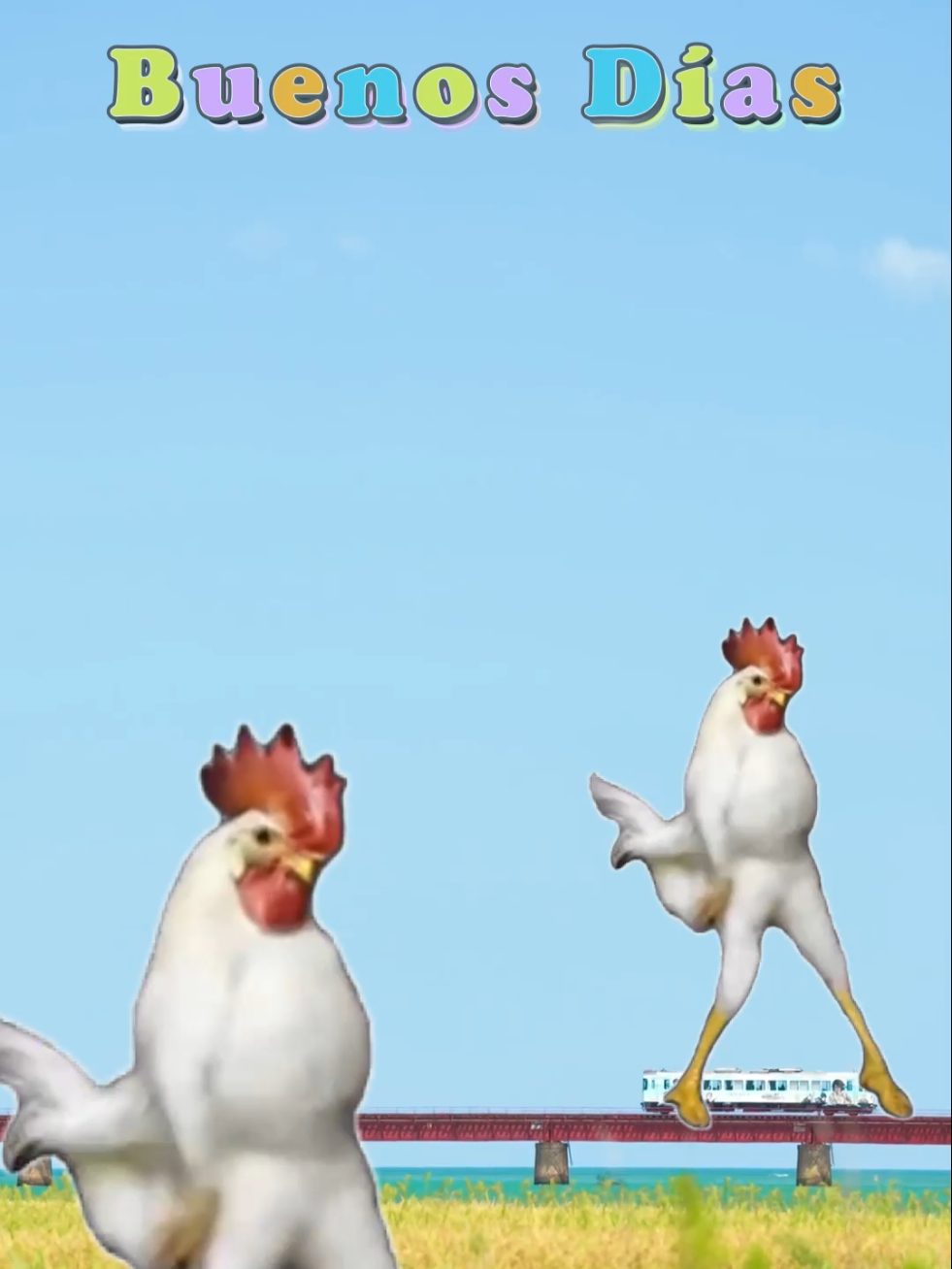 #buenosdias242 #buenosdias 