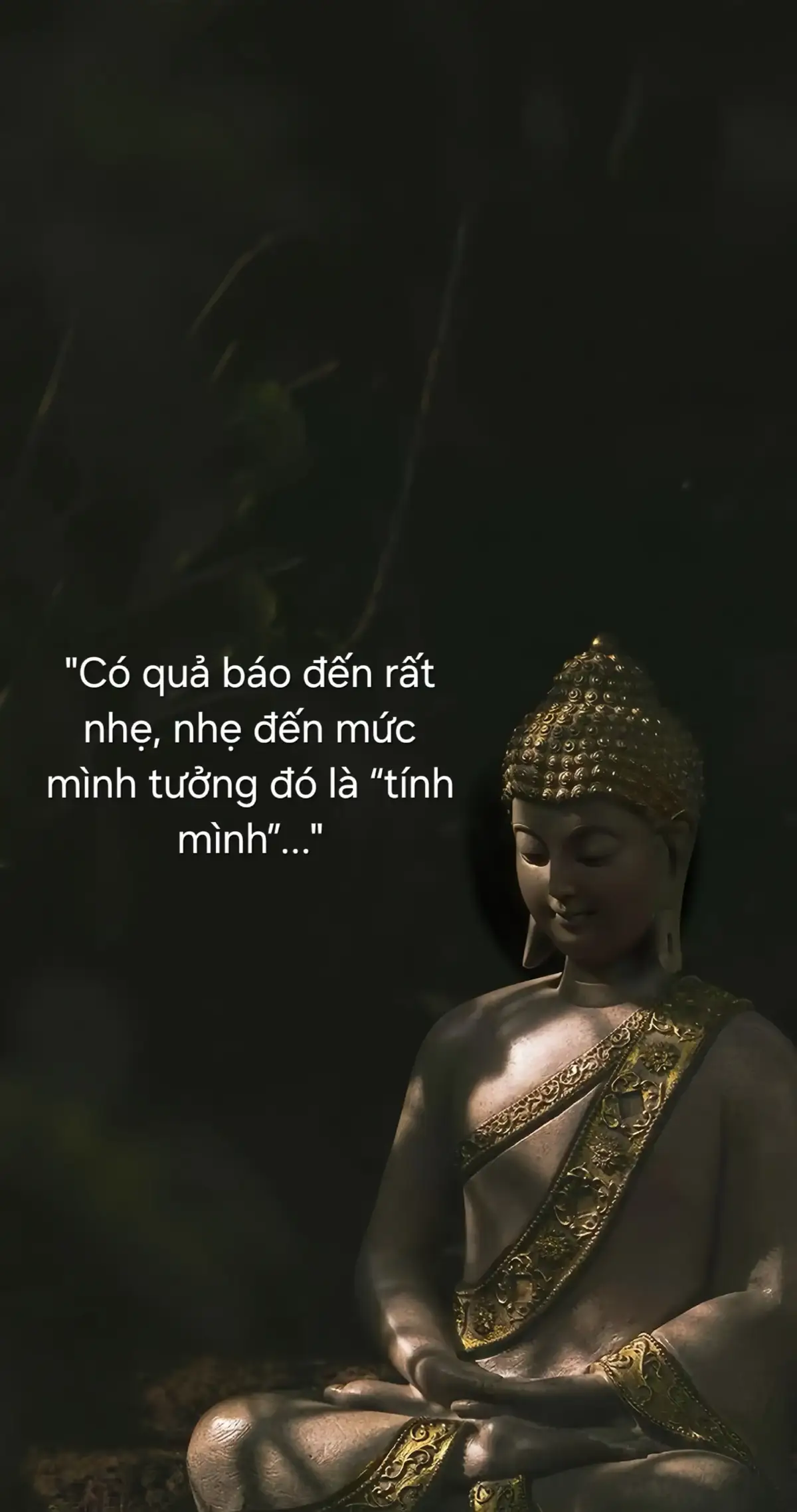 #phatphapnhiemmau #phattaitam #phatday 