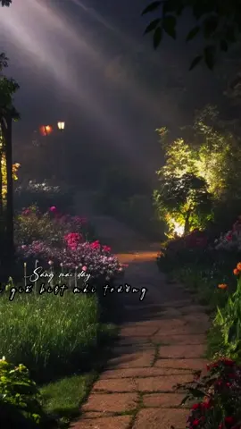 Sáng Mai đây #nhachaymoingay #xuhuong2025 #foryour #fyp #trambolerobuon 