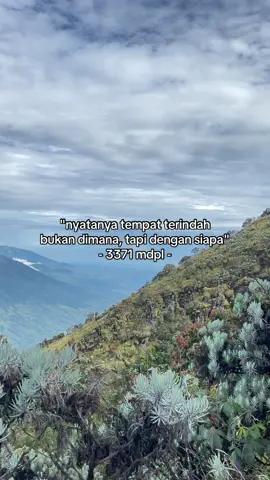 about 3371 mdpl #sumbing #gunungsumbing #mountain #pendakigunung #fyp 
