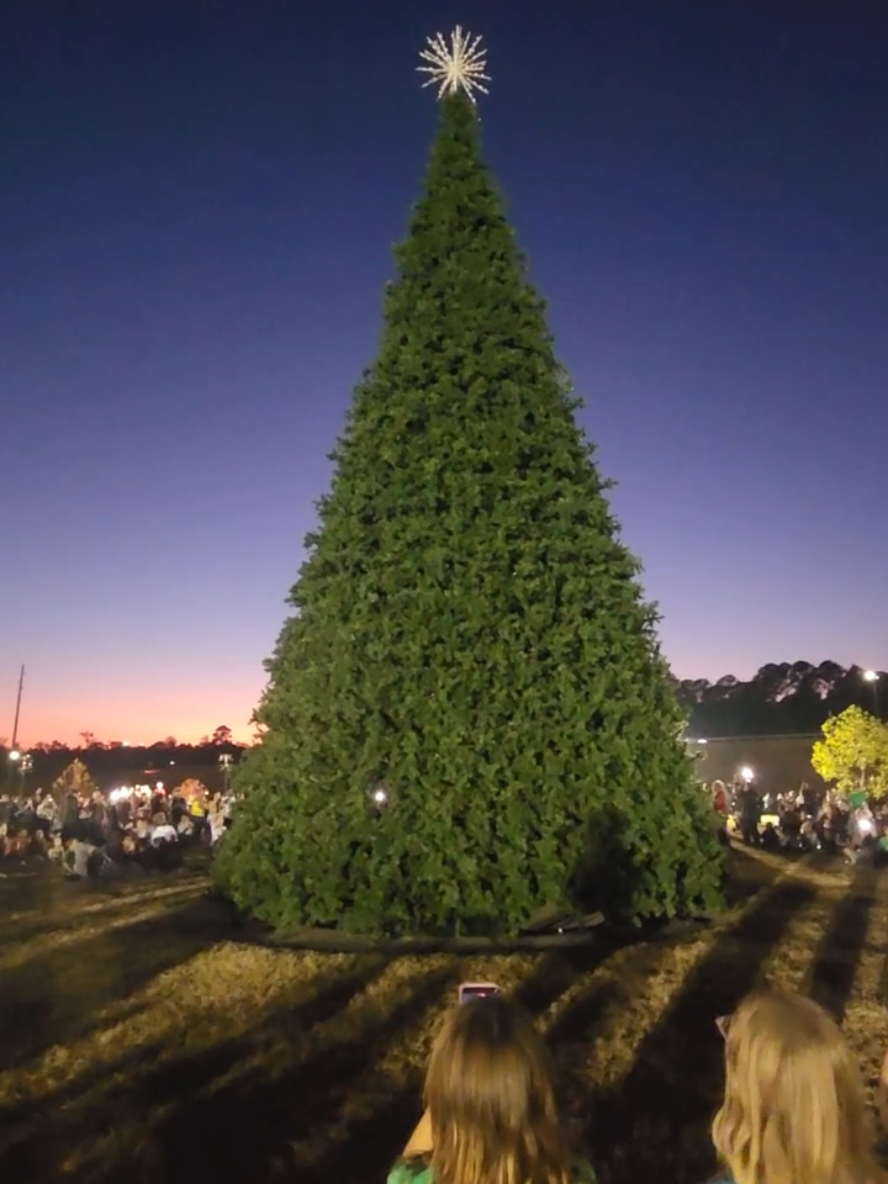 🎄 Tree Lighting Fail! #christmaslights #christmas2025 #christmastree #christmas #treelighting 