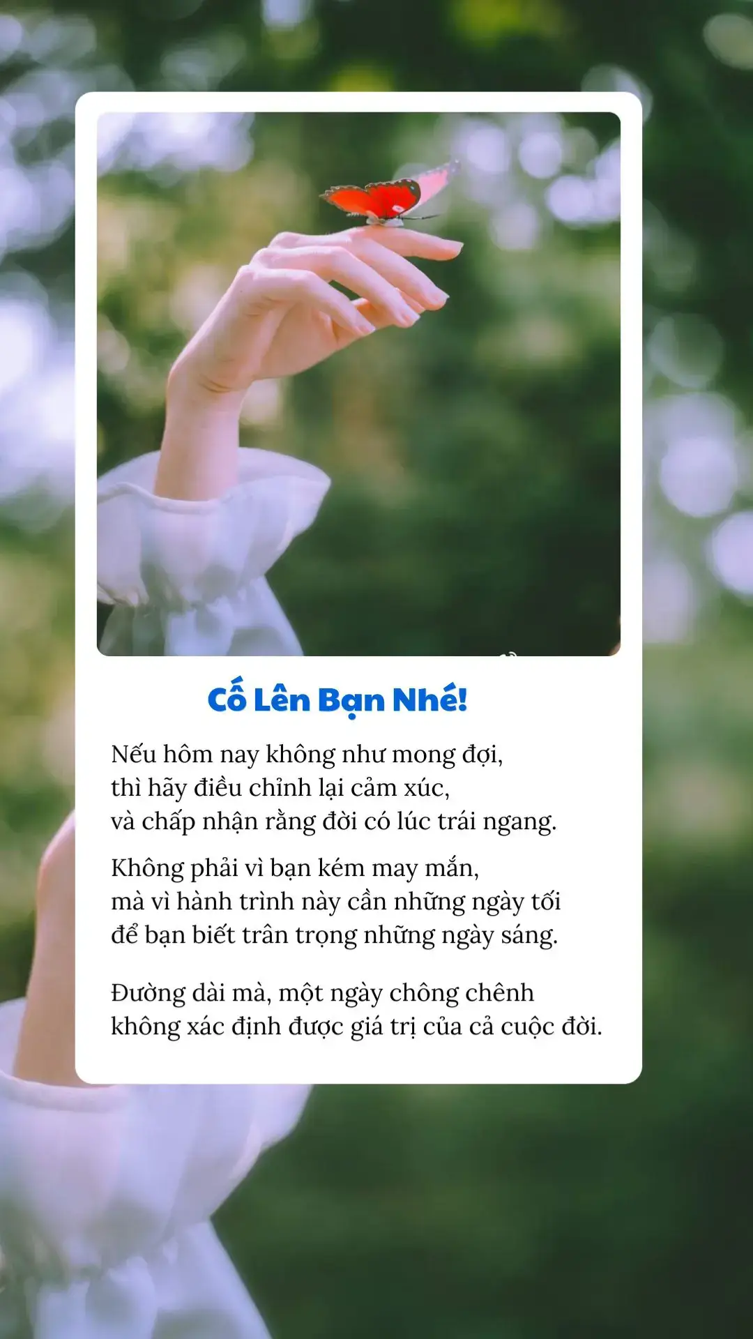 #bachhoabinhyen ##colen 