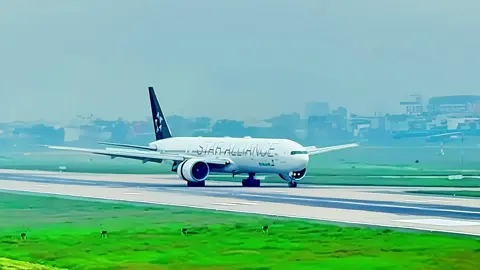 EVA Air Star Alliance × VNA A350 VN-A888 – Khung hình cực phẩm! #EVA #StarAlliance #Boeing777 #A350 #VietnamAirlines              