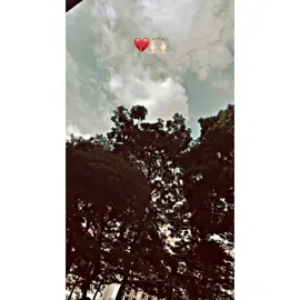 @شاہذیب🌾 @پنجاب ❤️‍🩹 #100kviews #foollow #viral #foollow100k #foryou 🙌🏻💔