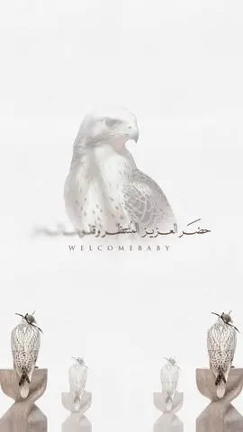 بشارة مولود .  #تصاميم #دعوات_الكترونيه #fyp #بشارة #تهنئة 