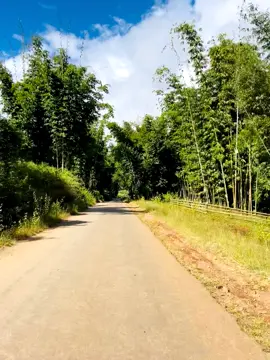 #တစ်ယောက်ထဲလဲနေတတ်နေပါပီ🍀🏍️🏞️ 