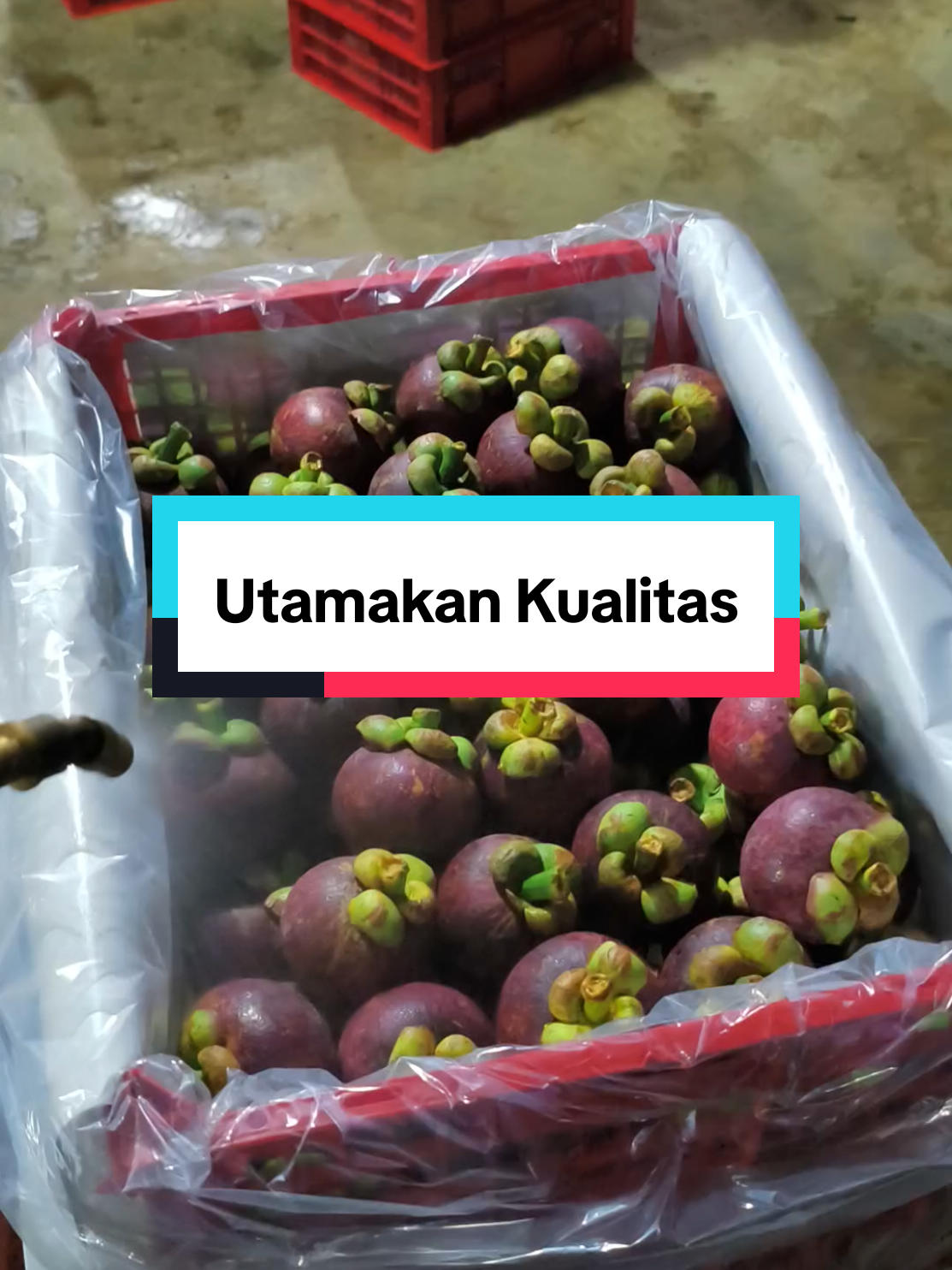 Ada harga ada kualitas #manggis #fruits #buahtropis 