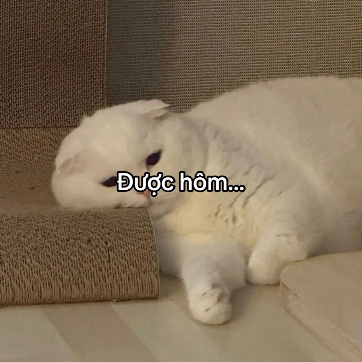 Flop quá ghi tên anh nha Sơn Tùng M-TP #xuhuong #xuhuongtiktok #xhhhhhhhhhhhhhhhhhhhhhh 