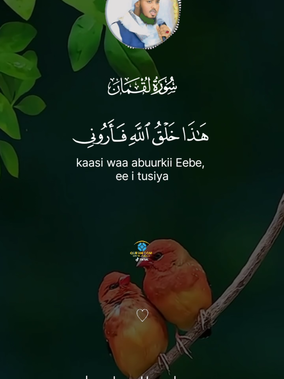 #QURANCOM663 