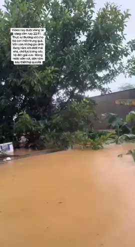 Thương xót quá. Mưa ngớt rồi hi vọng lũ rút nhanh #lũlụt #lũlutmientrung 