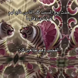 فعلاً يغثون #ماب_السرقه #روبلوكس #السعوديه #اجانب#اديت 