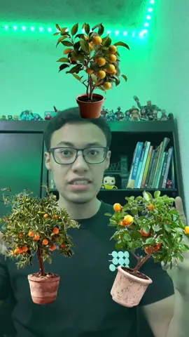 EXPLIQUENMEEE  #colegio #fyp #guatemala🇬🇹viral #humor #guatemala🇬🇹 