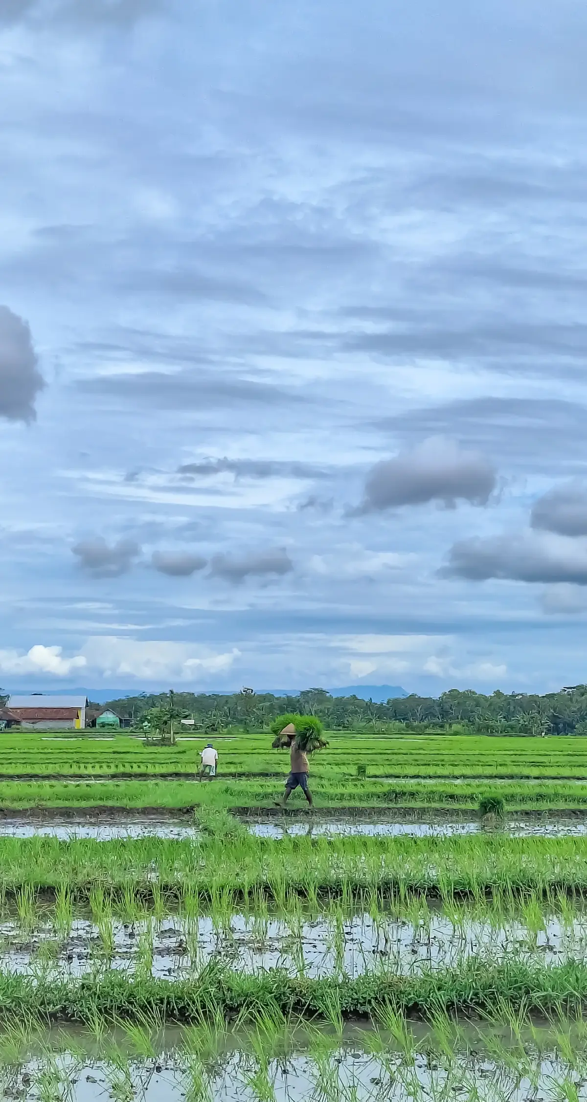 wayaeh tandur bagian ngirim🥰 #fyp #fypage #fyppppppppppppppppppppppp #nostalgia #nostalgia90an 